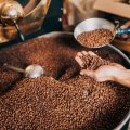 A hand scooping into a barrel of coffee beans 